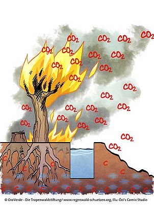 Durch Brandrodung oder Waldbrände wird gespeichertes CO2 freigesetzt. ©Oetzi's Comix Studio