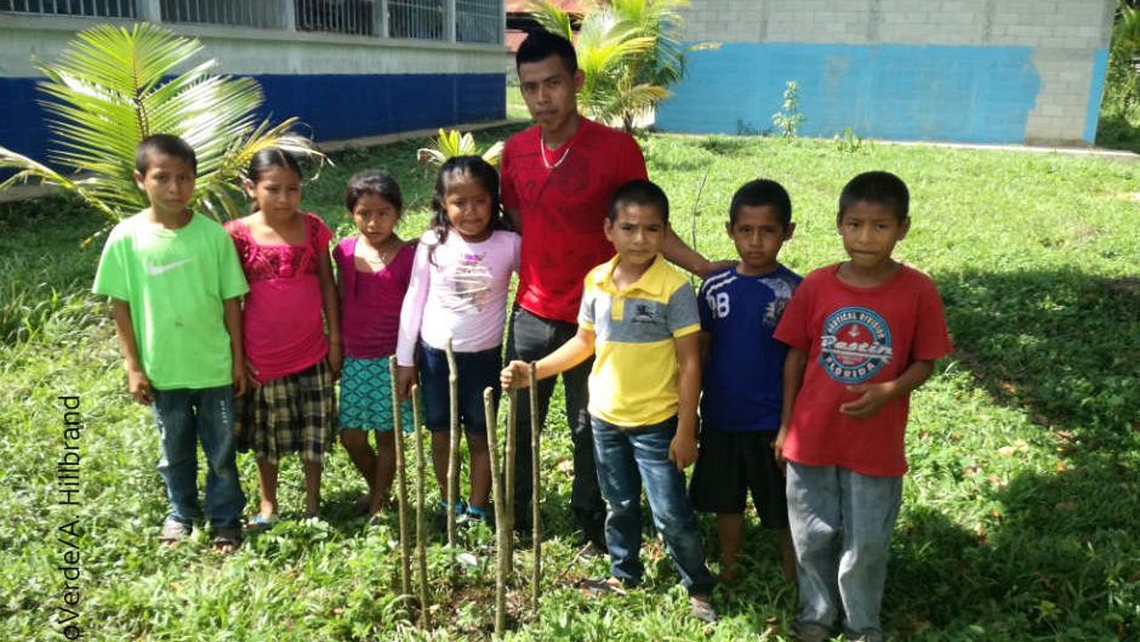 Kinder in einer Grundschule in Guatemala nehmen an einer Baumpflanzaktion teil ©FDN