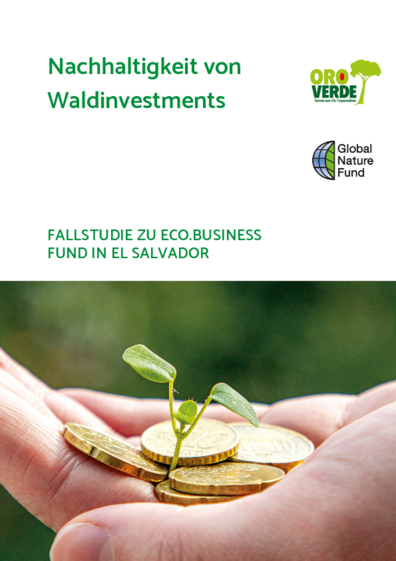 Fallstudie eco.business Fund (El Salvador)