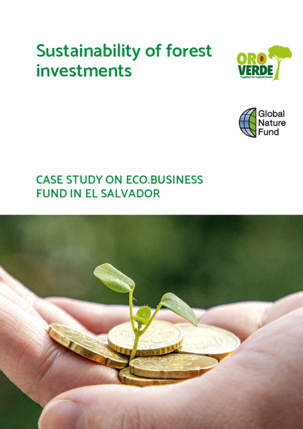Case study eco.business Fund (El Salvador)