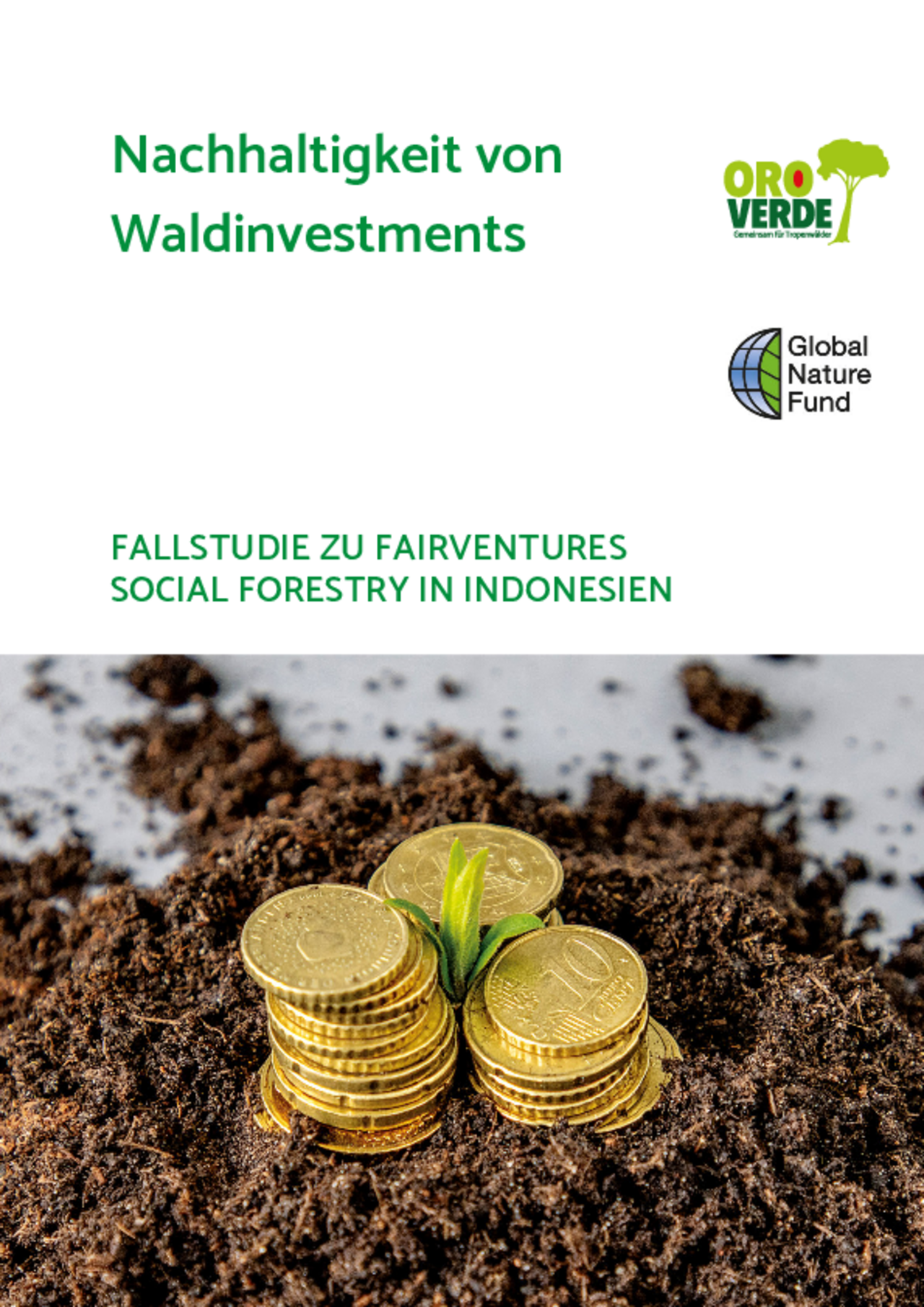 Fallstudie zu Fairventures Social Forestry in Indonesien