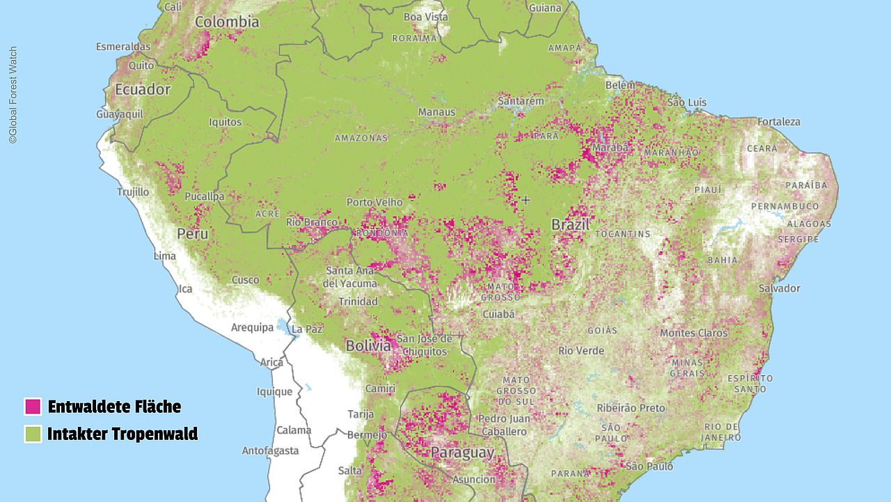 Stand der Amazonas-Entwaldung im Jahr 2012. ©Global Forest Watch